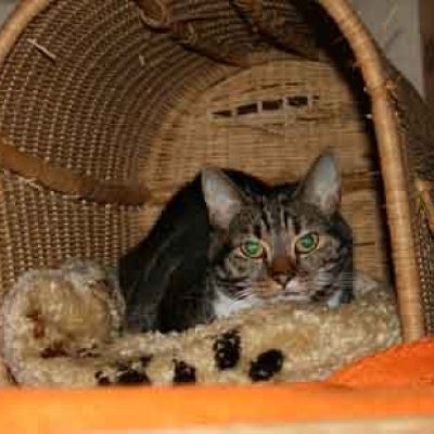 7b60620e3b73d34866e9f9d0224b5739