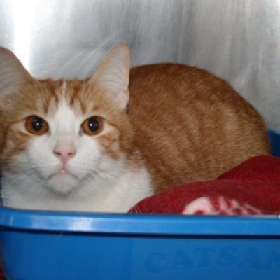 7cee367fd12ab81e6ccfd7ebc32d45ef