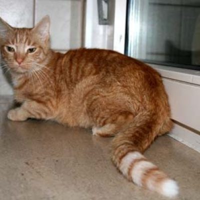 7dc6c9bbc0eb72b26f3c6f1eccadf155