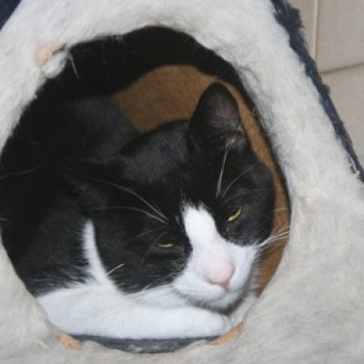 7fdb516f41efe75cf1748633aac859a7