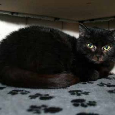 814c5fa8cc246f42c53a91bddf076dee