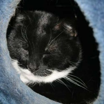 81f63de9ba61376bcaf29ee5eec5bb0e