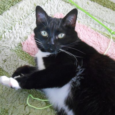 82c201e2ef71c9d93e280b6e93e5ff58