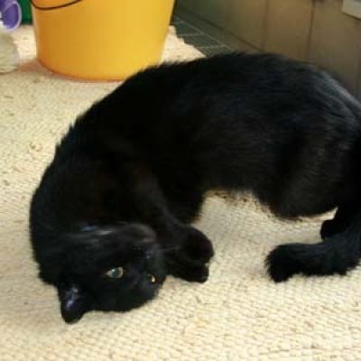 85b77338ef92a525bbfc65aa379c16c5