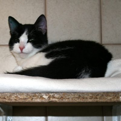 85eaadb12c96831e2dd8e8d0ba75e08b