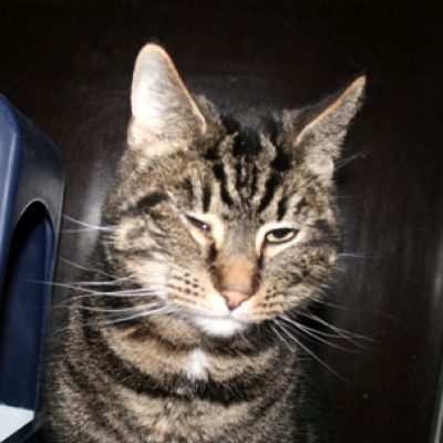 8779f785bcfd963444b2987ce08d221b