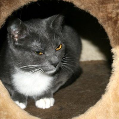 888639b535d99236c0df441262ad877f