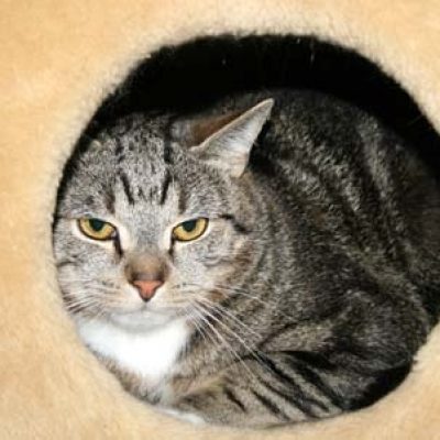 890602090856167d6e437c240c8755b2