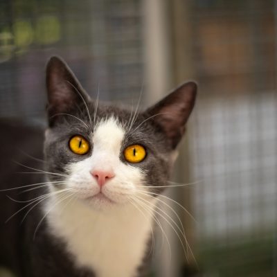 89ca3e51b29e16a8249052ce0946112e