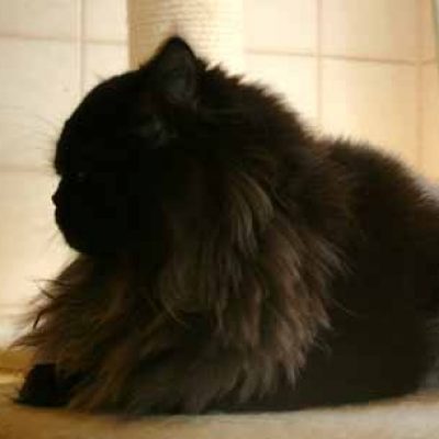 8ccd2d7570b15b2ea0e7b68469e23e76