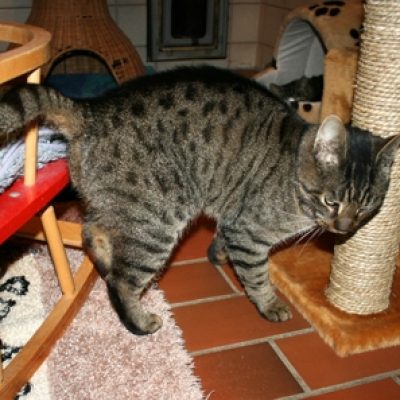 8d5d92268957d54463f5c93c0ce4c544