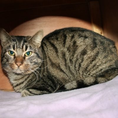 8df72d732c70276b0ce25f488fb8f3c2