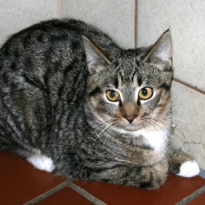 8f01312079ceed4936f440f6a633a0e2