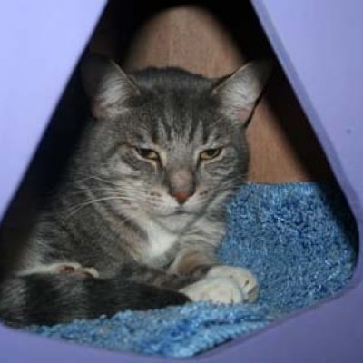 8f465ff8a390896d2db03a2f6dfc1b4e