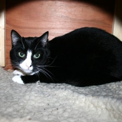 90a35d32256d8c8d4251371c8b19c6f0