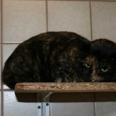 91f509849f6467bb518faf710f229661