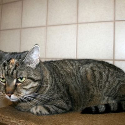 9243c4e6c1fa1938e50087fb954581e0