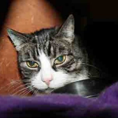 93a3175eacba0e683137e2c824a018b3