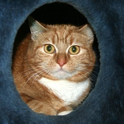 9451a5d5fc272af67b69a69e7fb8d7d8