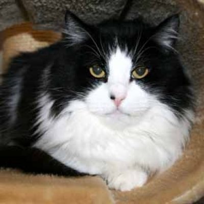 945a0a7a8f2da41b3a456e91531d5e81