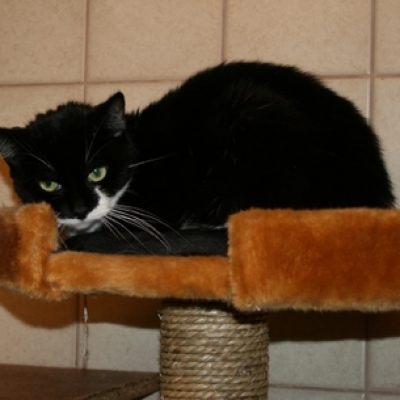 94dc54329e25f79c8a3f66d37ea38c47