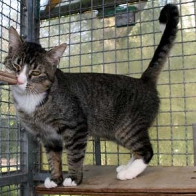 973d452191c64a038927e95436dac7d2