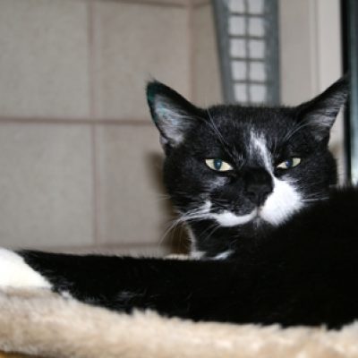 97d987363fe63c4fd6af306d4ce1e151