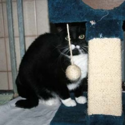 981d20801130c02f0af74fa72428dc97