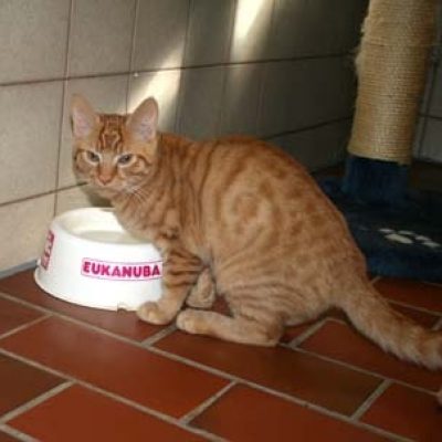 98a603e1940a8f9204f68a90703d47ea