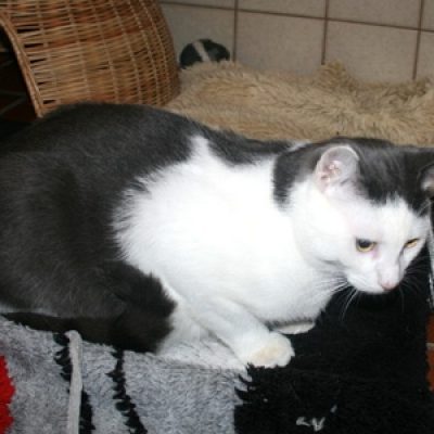 98ec0092d694f3f780e032d45228a0f5