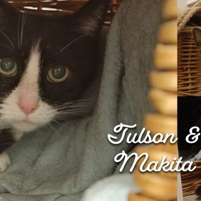 9a2d762c5db6bf1183bc27854f593702