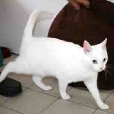 9ade5171eb1f9a75bc254ef5710cc832