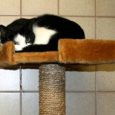 9bdc2481e2ceb26bfd5eb52f9576d31d