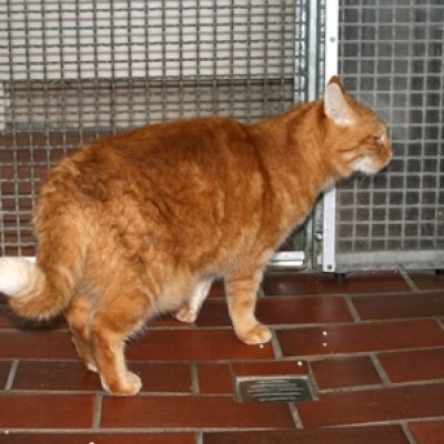 9be642f7225e5efa14b57559f92dbcc8