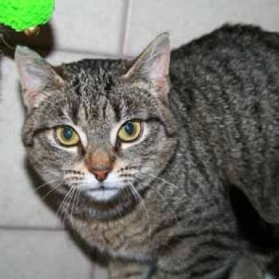 9cb8dfd774cee31c9ec136ef59796c21