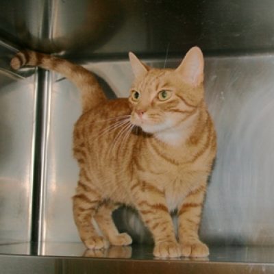 9ceda37e8dd02e290ba6ca0c349431b8