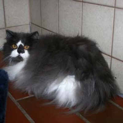 9d7c1c9b941763c2b63d9c921f6a9d0f