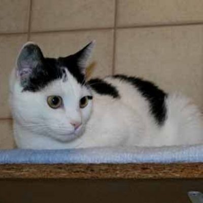 9da5ba405e428d33ec6f21eff5dda49d