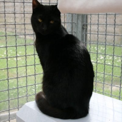 9ede171db435c8abe1605656d0a739dd