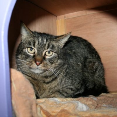 9f3dcf4ce584f4d829ed142041e43d1b