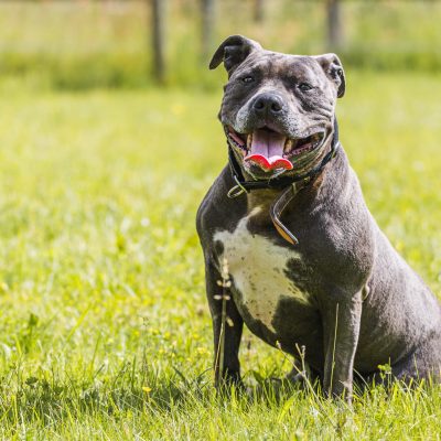 Aramis 2024 06 05 3Z4A8532 (002)