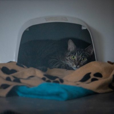 Lillian IMG 9422