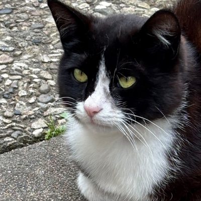 Mucki