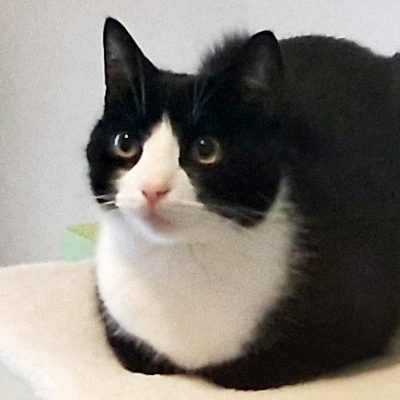 Rasmus