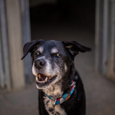 Rusty IMG 8097