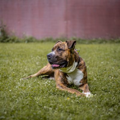 Timur IMG 8551