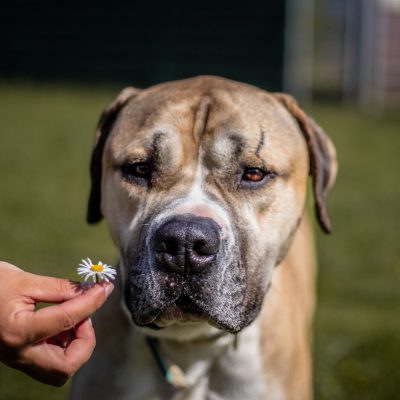 Vincent IMG 8239