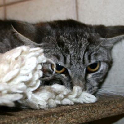 A0e8823e226e7d56487c4040d3ba472c