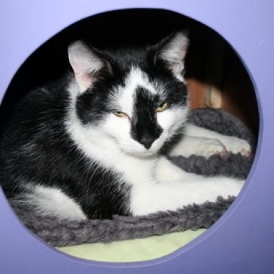 A156d334141839220352457292414f31