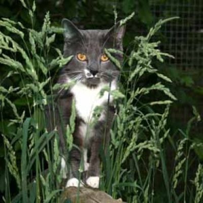 A21d6ff0caa0450b09a57ee717e3d2c3